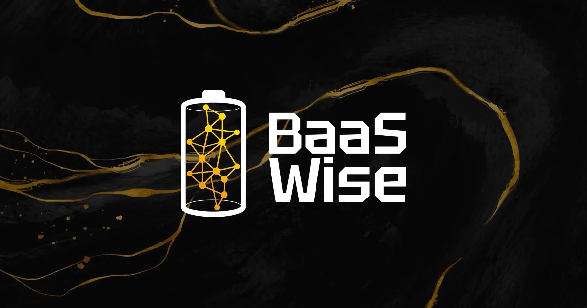 baaswise.com